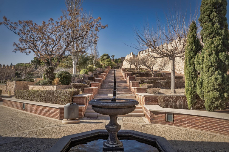 Almería: Andalusian Astronomy at the Alcazaba and Astronomical Observation