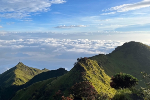 Z Yogyakarty: Mt. Merbabu 2-dniowa wędrówka i kemping