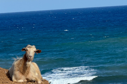 Crete Heraklion: 3.5 hrs Adventure & Authentic Villages Crete Heraklion: 3.5 hrs Authentic Cretan Adventure & visits