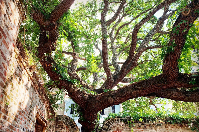 Charleston: Hidden Alleyways Walking Tour with Museum Ticket Charleston: Hidden Passages Walking Tour with Museum Ticket