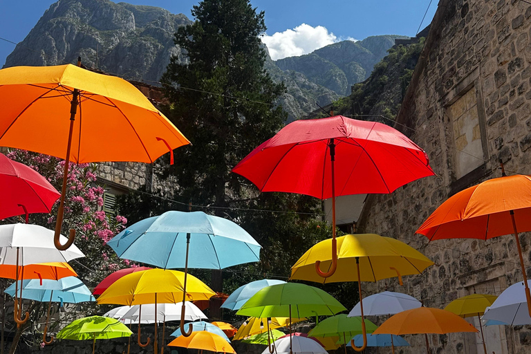 Baia Blu: Scopri Kotor e Perast