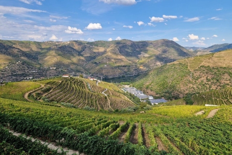 Porto: Tour durch das Douro-Tal mit Kreuzfahrt, Mittagessen und WeinverkostungPrivate Tour