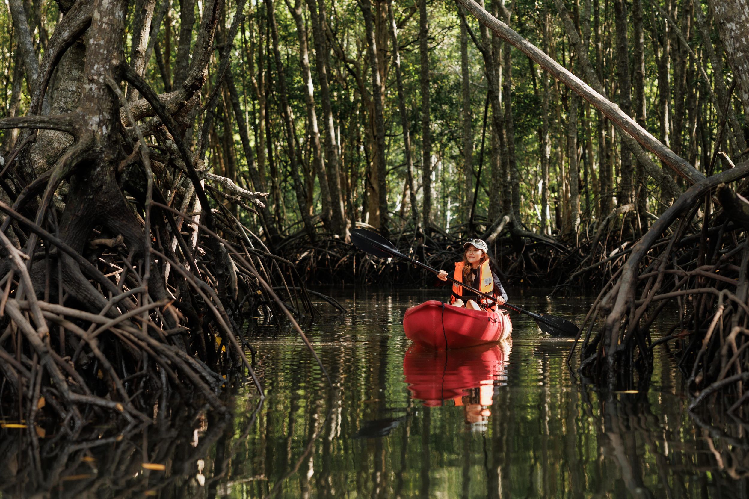 Krabi: Kajak im Mangrovenwald mit Essen in Ao Nang