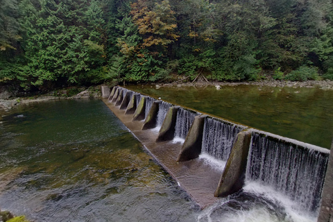 4Tour:Capilano Suspension Br/CAR/Small GROUP+Lago+Dam+Hacher