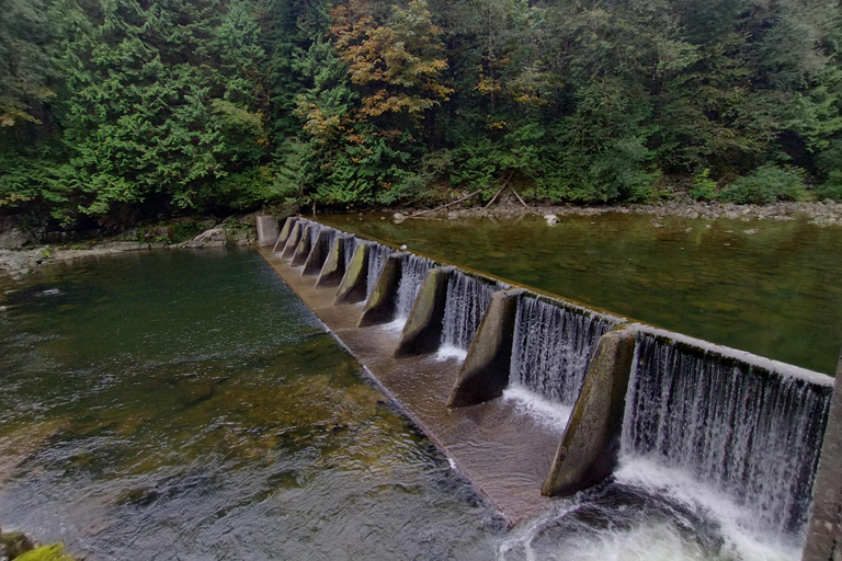 4Tour:Capilano Suspension Br/CAR/Small GROUP+Lago+Dam+Hacher