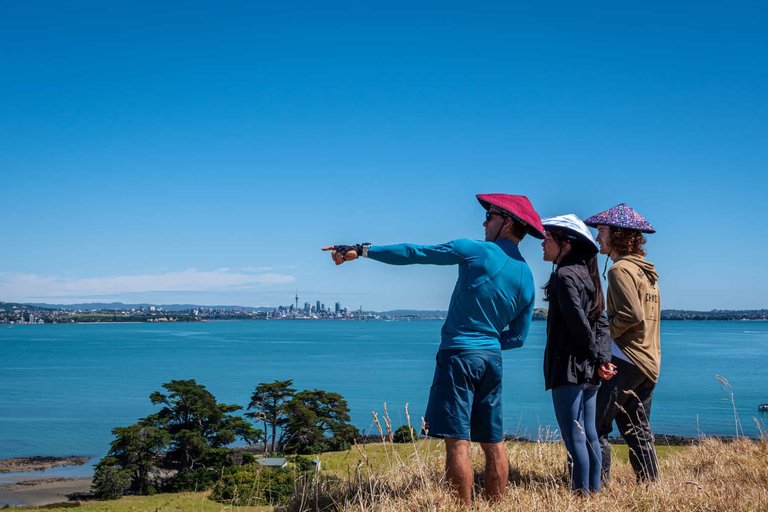 Browns Island Motukorea zeekajaktourGroepsboeking