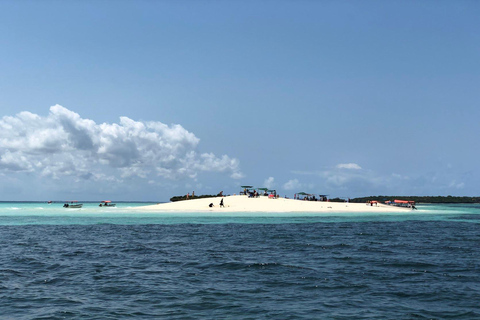 Tour privato: Delfini e Safari Blu nell&#039;isola di Pungume