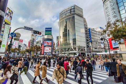 Tokio privétour met Engelssprekende chauffeur