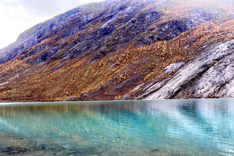 Flåm Flexible Tour with Stegastein, cruise and train include