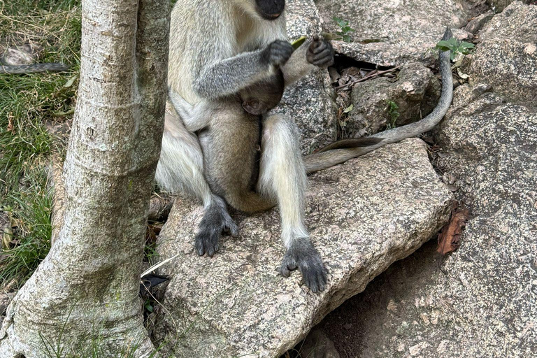 Kit-Mikayi Historical Stone Hiking Tour