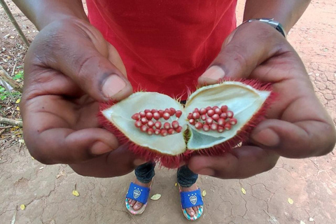 Zanzibar: tour delle piantagioni di spezie, Prison Island con giro in barcaTour privato con servizio di prelievo e rientro in hotel incluso