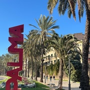 Mallorca: individuell geführte Wander Touren, City, Küste, Mandelblüte