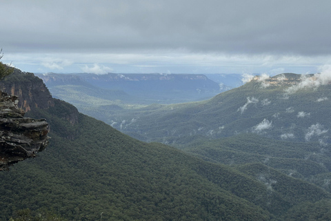 Blue Mountains: Mundo cênico, balsa, zoológico e foto de coala