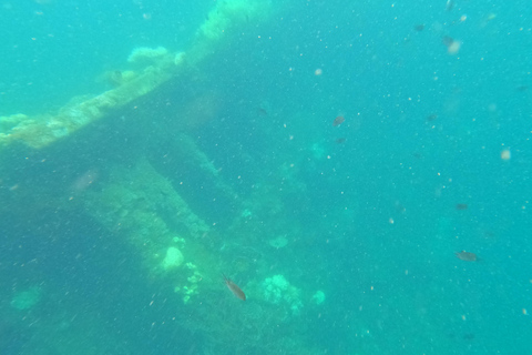 ARRECIFE Y PECIO - SNORKEL JAPONÉS DE LA WWII Y JARDÍN DE CORAL