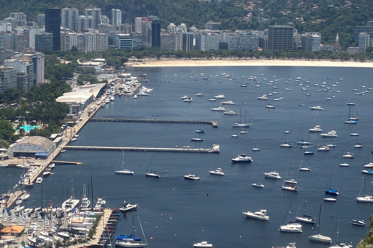 Best Private Tour in Rio: Sugarloaf, Christ by Train, AquaRio, Selarón