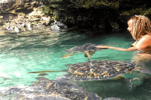 Zanzibar: Mnemba Dolphins Snorkel & Baraka Aquarium Turtles Hotel transfers anywhere in Zanzibar