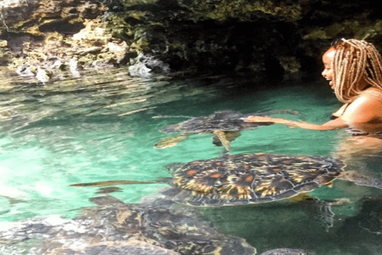 Zanzibar: Mnemba Dolphins Snorkel & Baraka Aquarium Turtles Hotel transfers anywhere in Zanzibar
