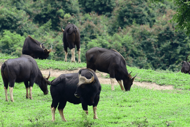 Da Bangkok: Noleggio privato di Khao Yai con diverse opzioni2 giorni / MPV (4ppl)