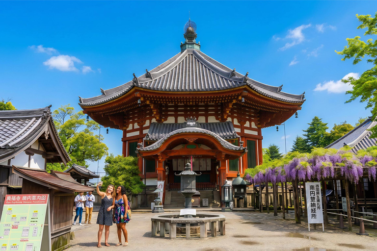 Kyoto: Private City Highlights Tour (Local Guide 6-Hour)