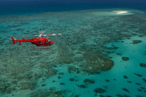 Cairns: Groot Barrièrerif 30-minuten helikoptervlucht