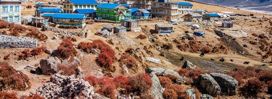 Katmandou : 6 jours de trek illimité dans le Langtang