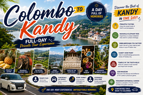 Colombo to Kandy Full-Day Private Tour Experience