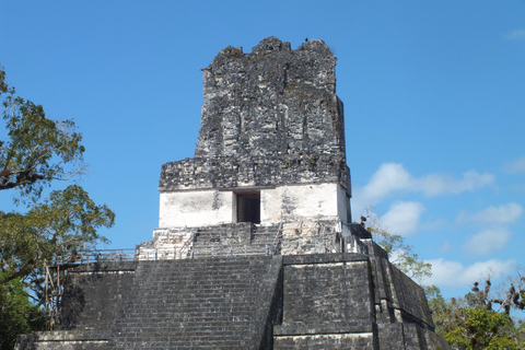 From Flores: Tikal Ruins Sunrise Guided Tour