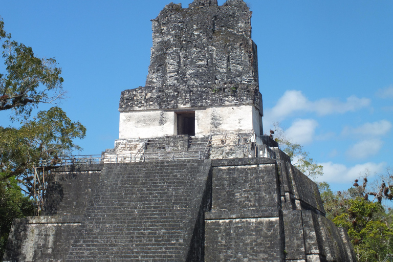 From Flores: Tikal Ruins Sunrise Guided Tour