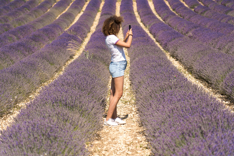 From Aix-en-Provence : Sunset Lavender Tour in Valensole