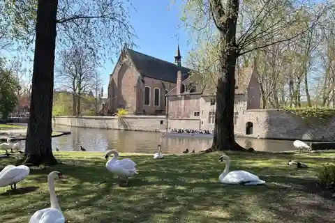 Bruges: highlights & hidden gems - private tour 2 hours