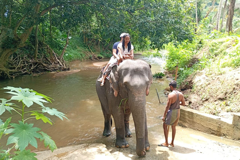 Colombo to Kandy Full-Day Private Tour Experience