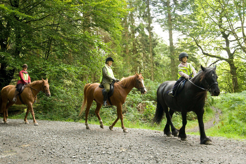Side: Horse Riding Experience with Pony Option