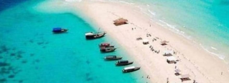 Zanzibar : excursion à Prison Island et Nakupenda Sandbank