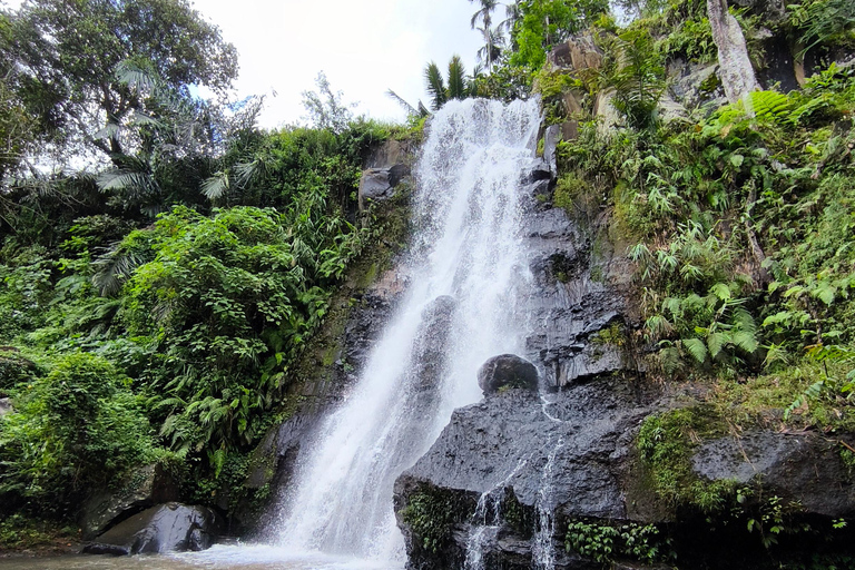 Tetebatu Walking Tour