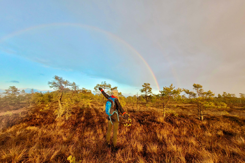 Ķemeri Bogs Adventure: Explore Wetlands In Bog Shoes