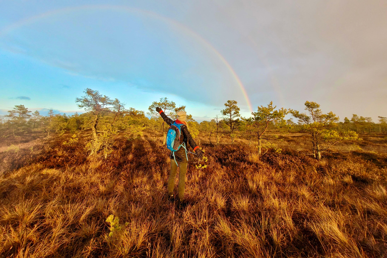 Ķemeri Bogs Adventure: Explore Wetlands In Bog Shoes