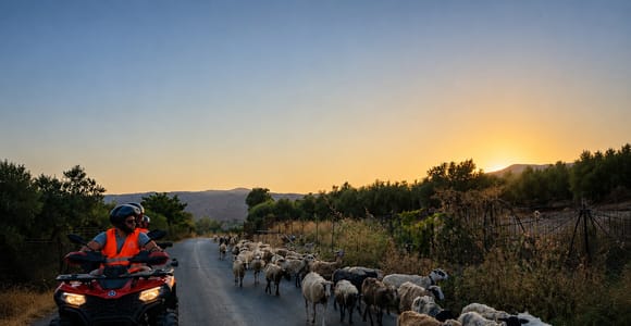 Chania, Crete: Quad/ATV Safari – Off-Road & Olive Oil Tasting