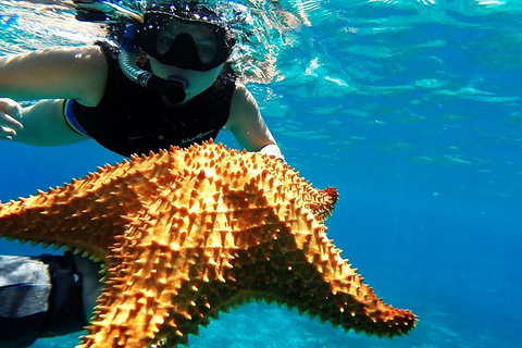 Cancún: Catamarán Isla Cozumel, El Cielo, Cielito barra libreViaje de ida y vuelta desdePuerto Morelos, Tulum