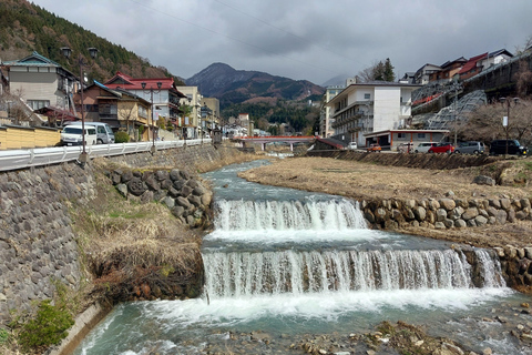 Nagano: Snow Monkey Park, Soba Lunch, and Shibu Onsen Tour Tour + Onsen Stamp Towel