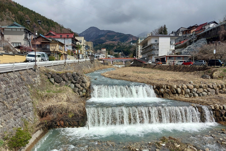 Nagano: Snow Monkey Park, Soba Lunch, and Shibu Onsen Tour Tour + Onsen Stamp Towel