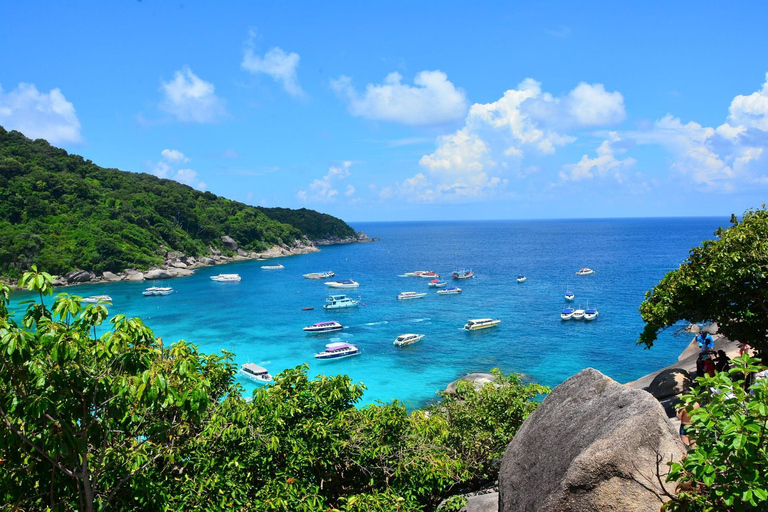 KhaoLak: Similan Islands Lazy Morning Snorkeling Catamaran