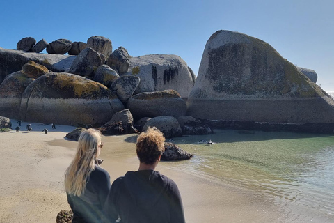 Luxury Cape of Good Hope & Penguin Tour