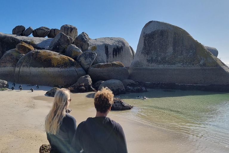 Luxury Cape of Good Hope & Penguin Tour
