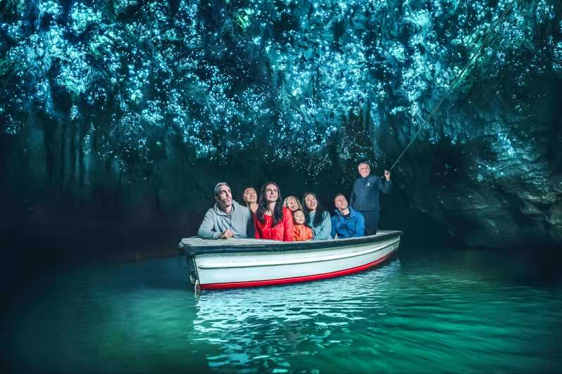 Waitomo : visite des grottes aux vers luisants en bateau