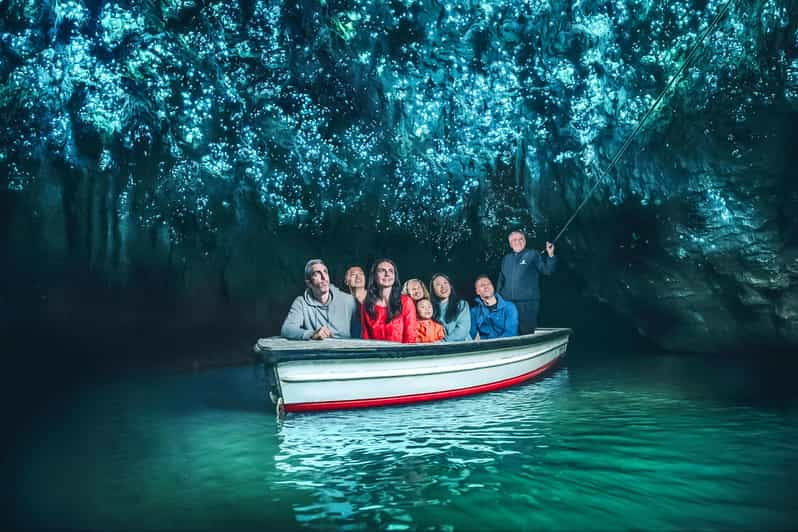 Waitomo: Tour guidato delle grotte delle lucciole in barca