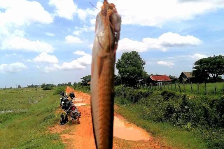 Siem Reap: Fishing in the rice fields, in the villages of Siem Reap