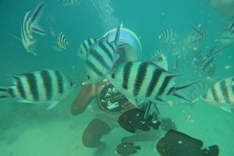 Zanzíbar: Aventura Sea Walk desde Kendwa y Nungwi