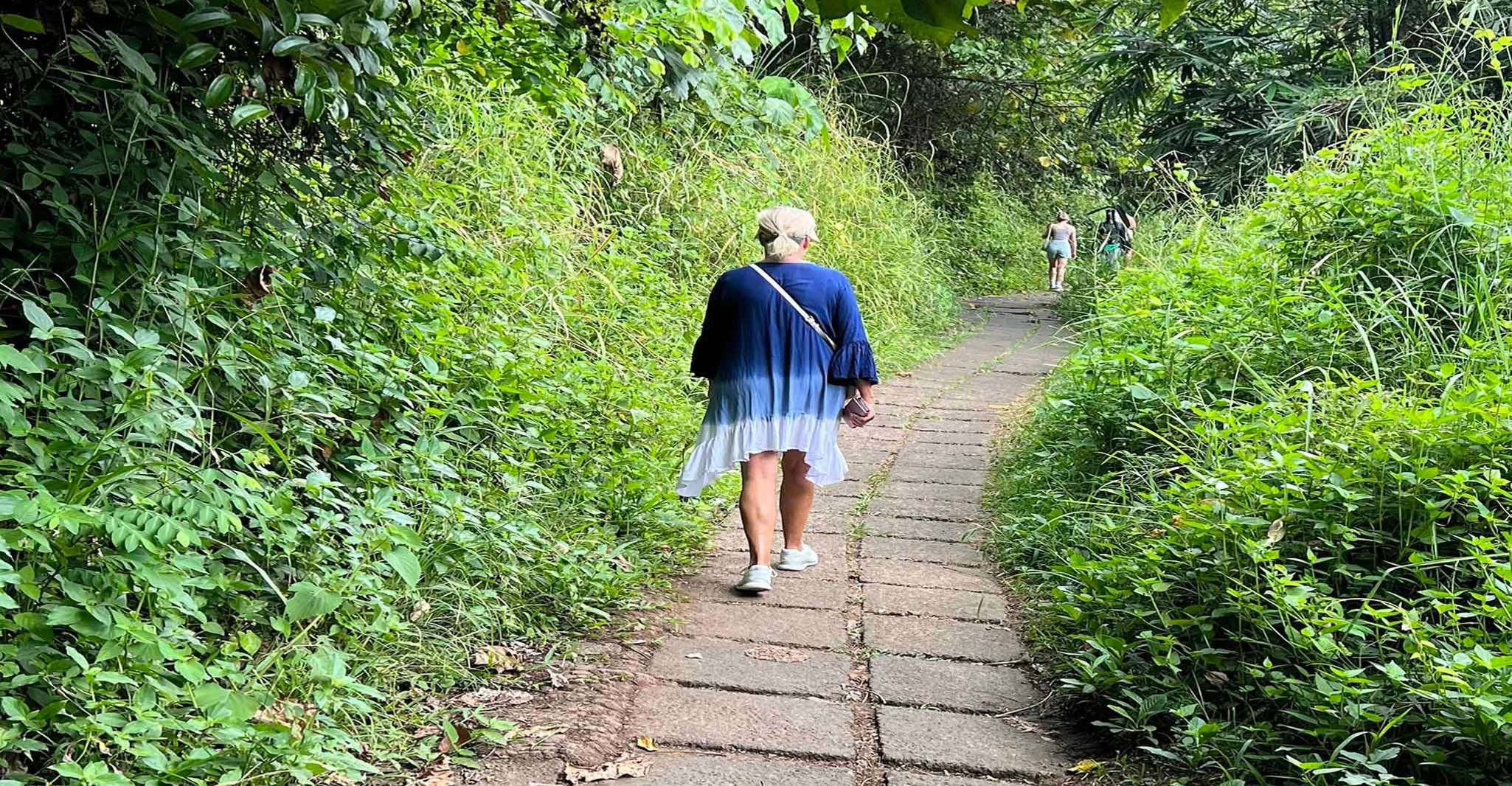 Passeggiata Campuhan Ridge di Ubud, un tour audio autoguidato - Hizvo