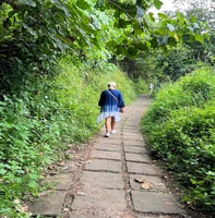 Passeggiata Campuhan Ridge di Ubud, un tour audio autoguidato - Hizvo