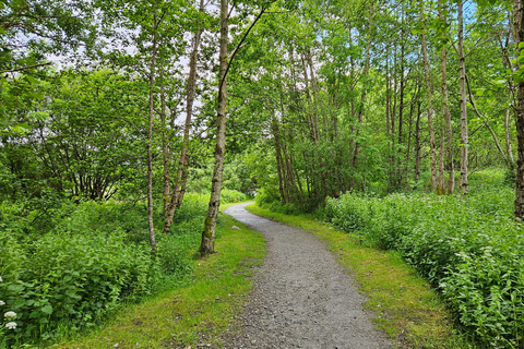 Fort William: Hiking Tour With Local Guide